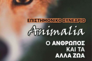 animalia